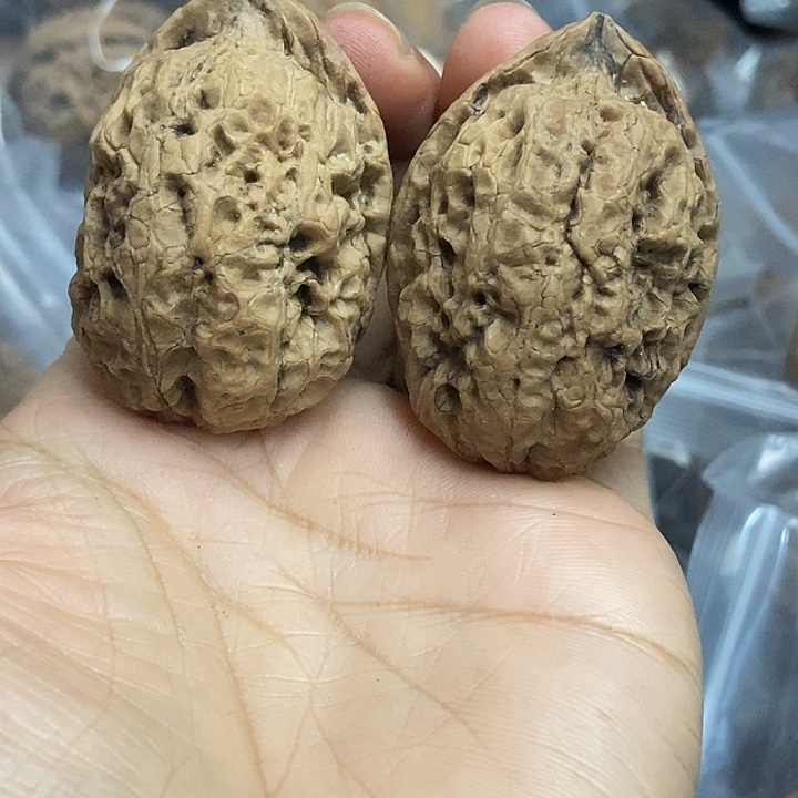 文玩核桃把件云南铁核桃基地49