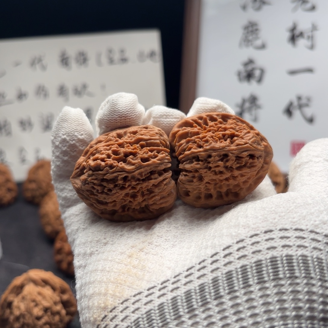 超***我核桃涿鹿南疆一代