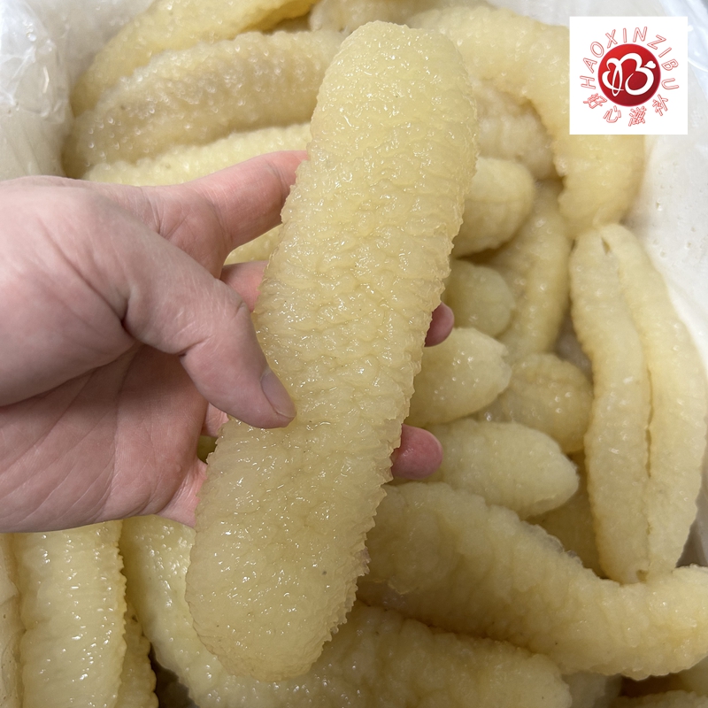 天然淡干沙秃金沙参20头/25头海参干货产地货源批发-可代泡发