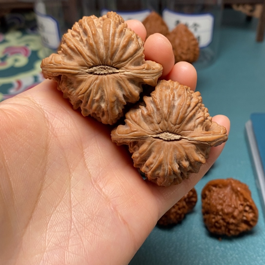 核桃46尺全品白狮子