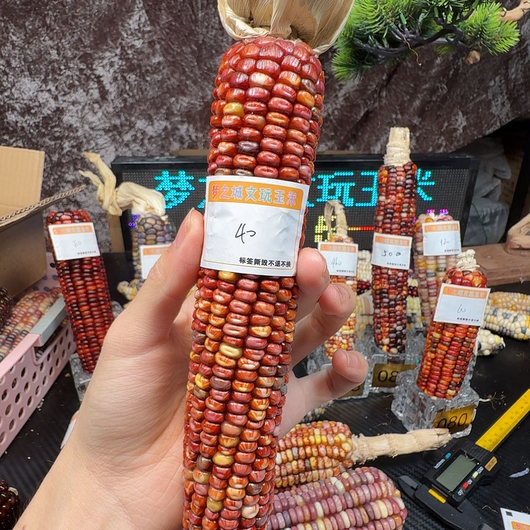 小***薇大叶紫檀（黑酸枝木类）