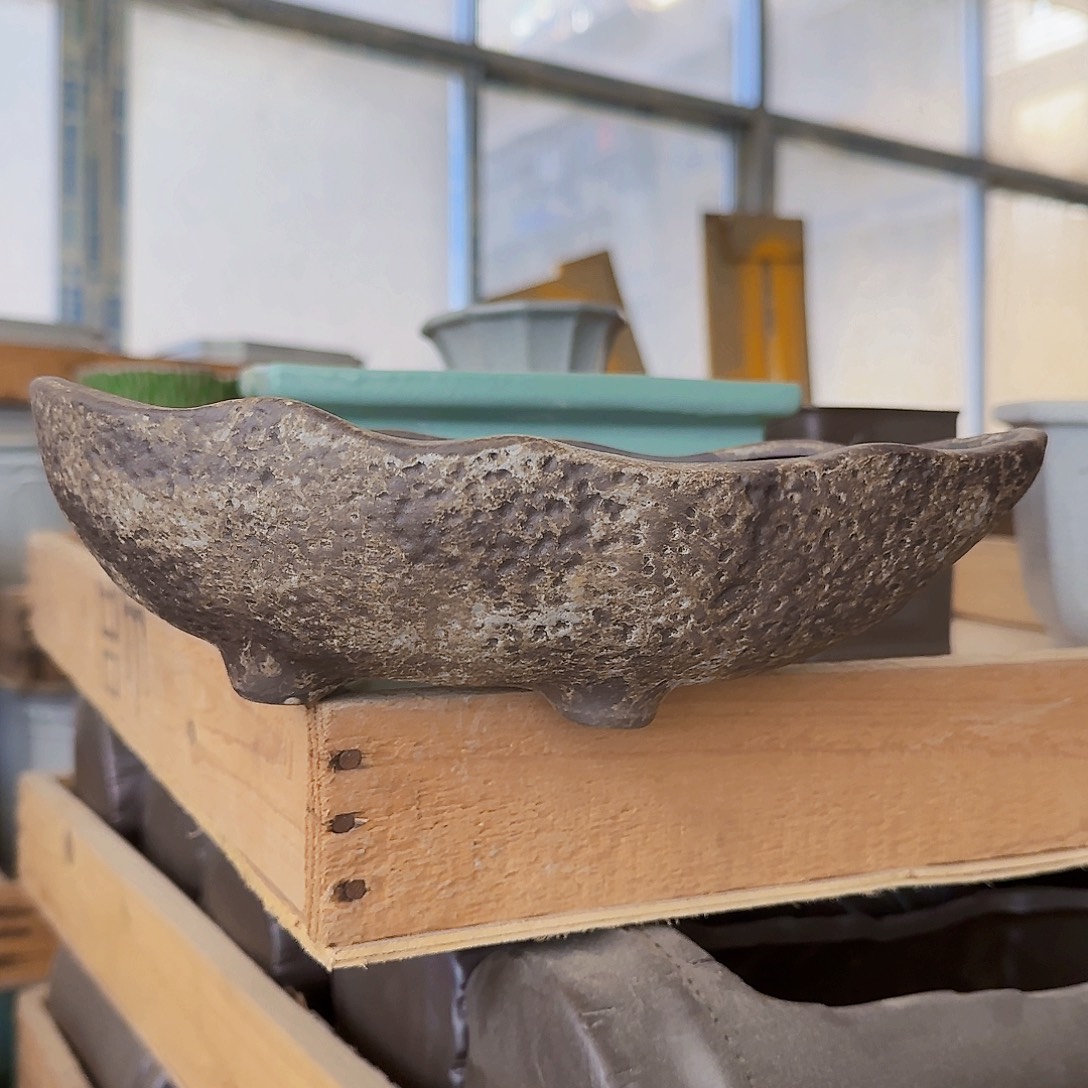 陶瓷花盆特价上新