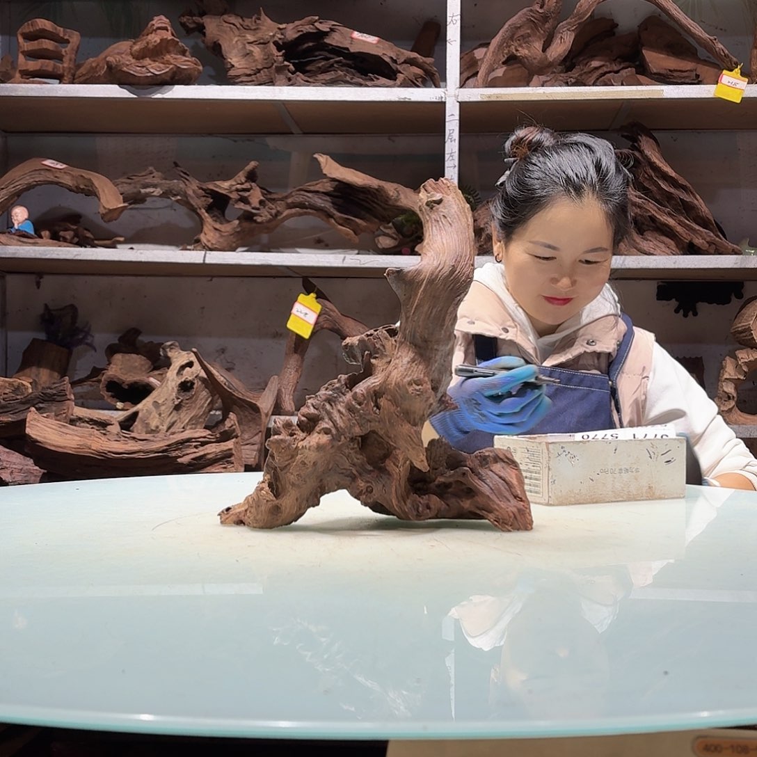 倍褚沉木不包损必褪色鱼**族5762