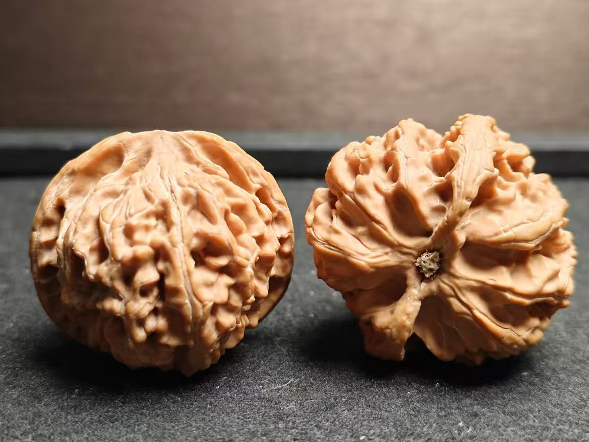 文玩核桃白狮子四座楼粗筋苹果等（直播链接）