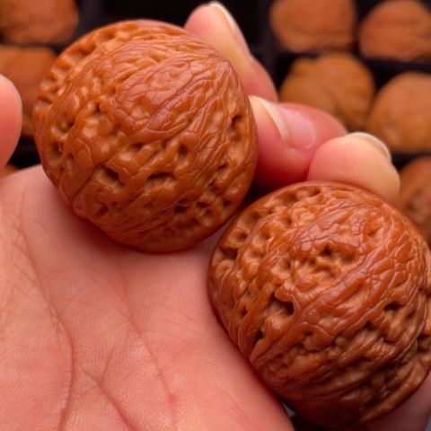 文玩核桃把件秦岭山脉核桃