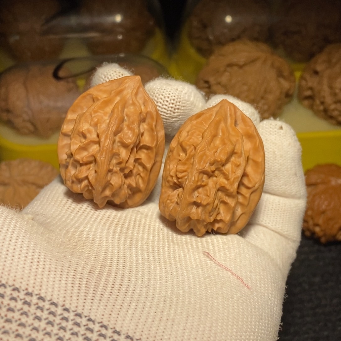 野生小众龙骨全品无修