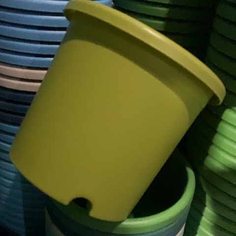 树脂四季4号果绿无托8个微瑕