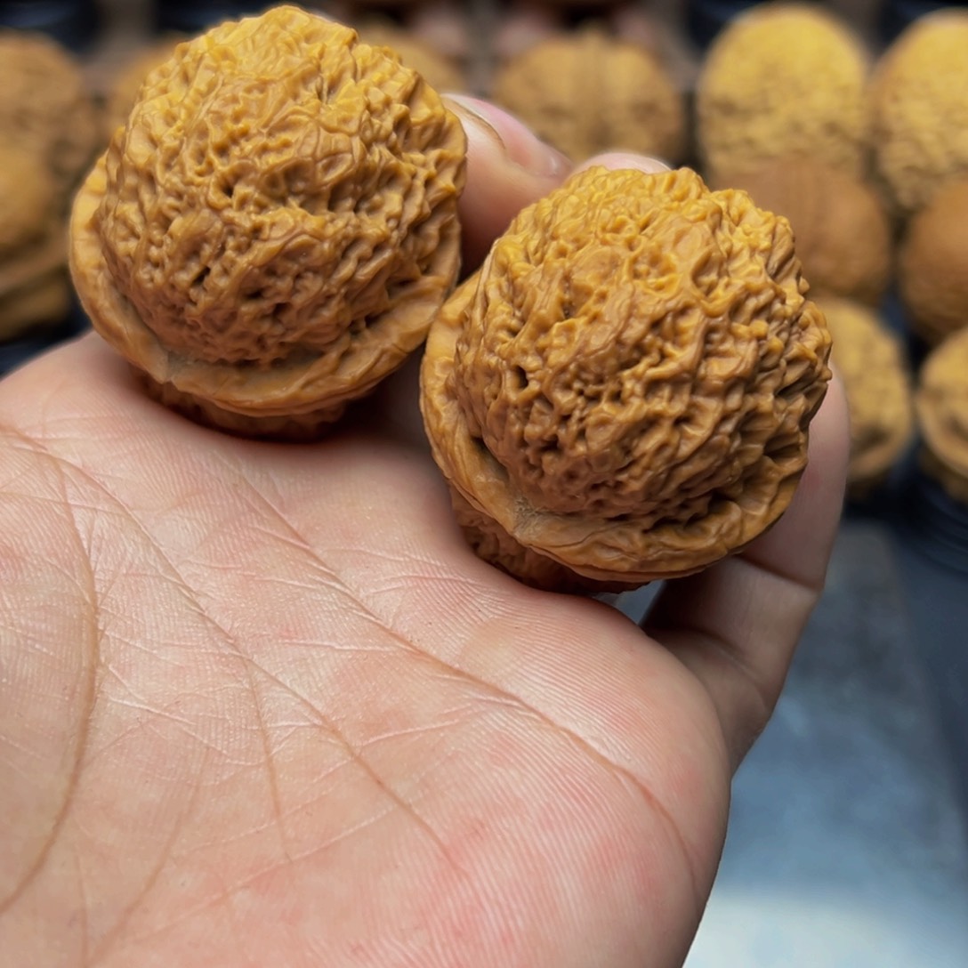 41尺寸九龙官帽 一物一图