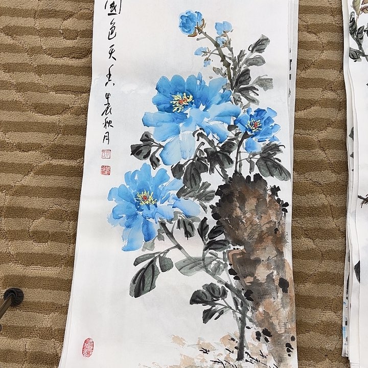 国画花鸟的翅膀和翅膀都70.35