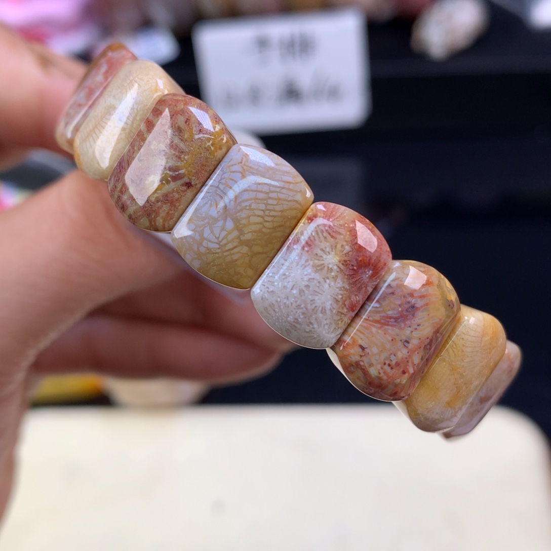 硅化珊瑚（珊瑚玉）未镶嵌吊坠(赠链)（20号）五折多宝