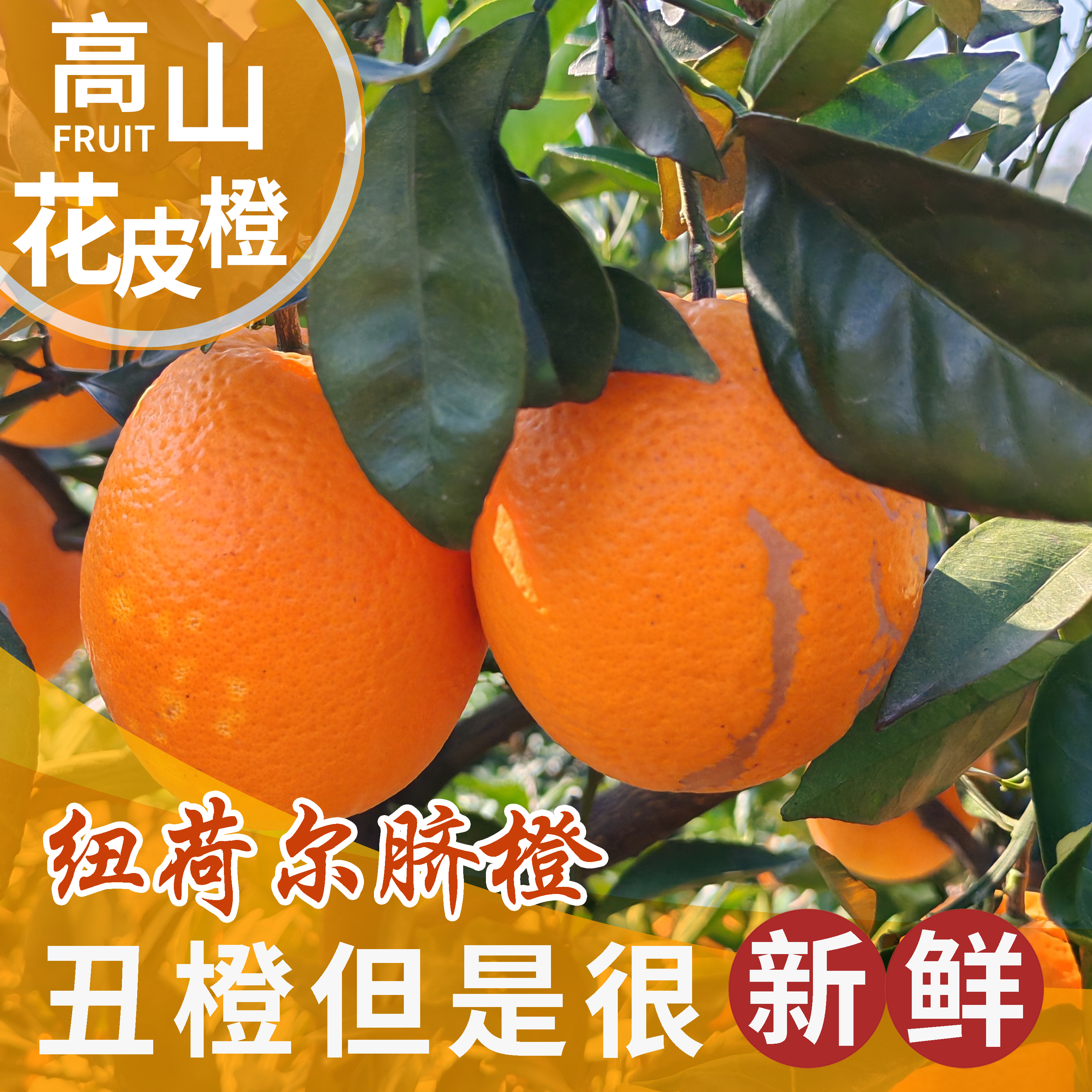 [助农产品]新鲜纽荷尔脐橙高山脐橙香甜多汁花皮果榨汁橙子正宗