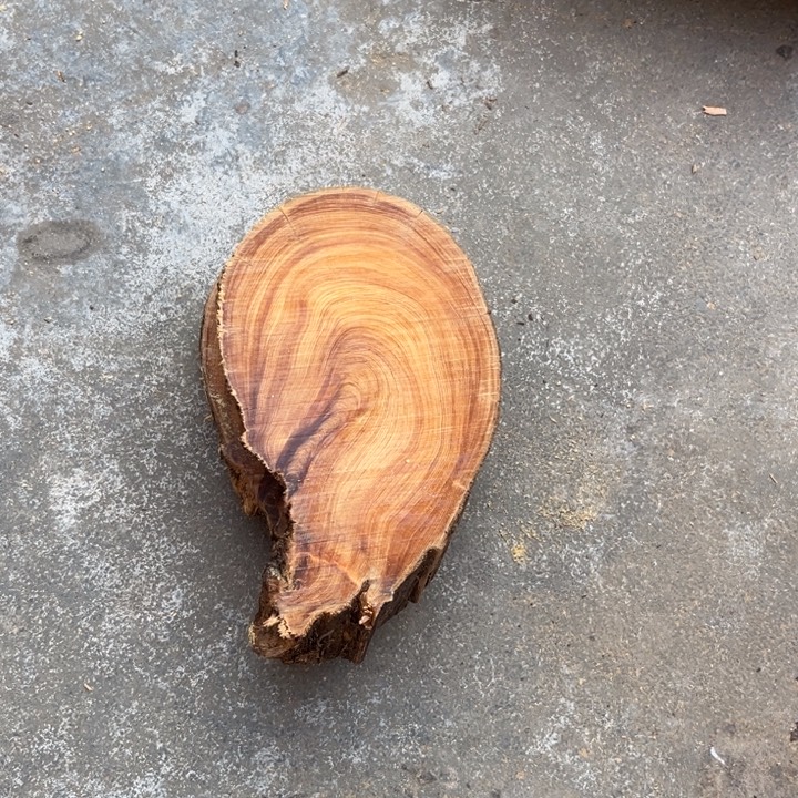 柏木南太行崖柏切片