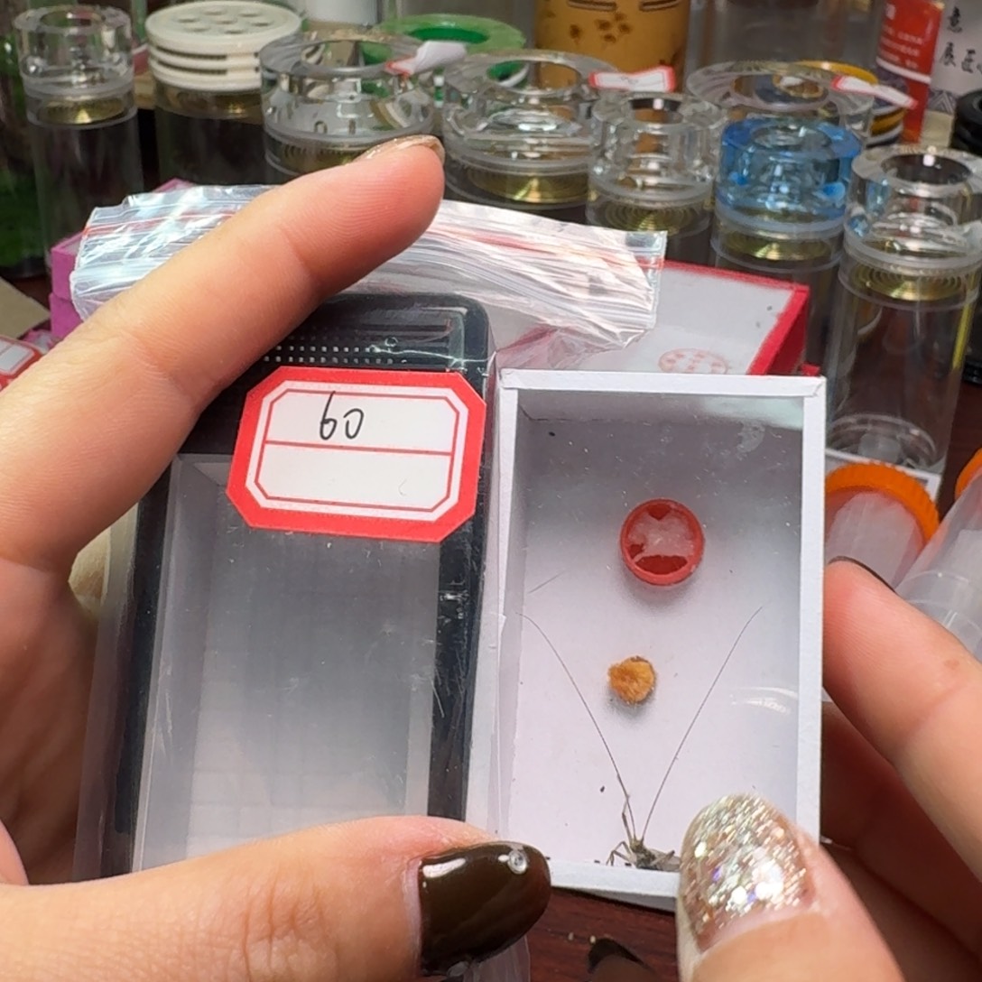 东***一条紫竹林一个竹林盒。 