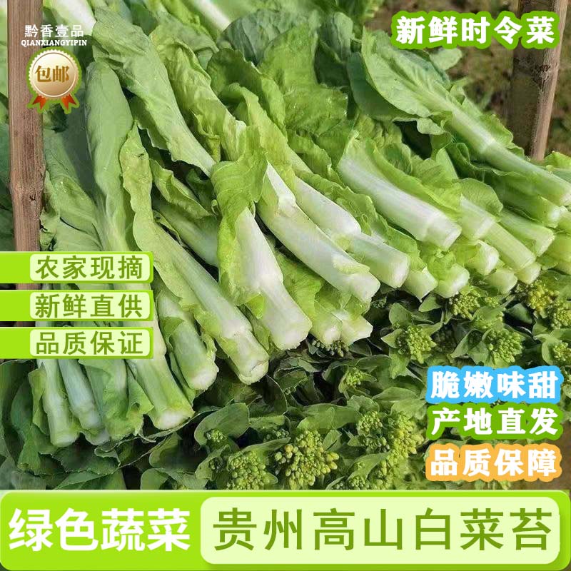 【贵州高山白菜苔】现摘农家菜心新鲜露天种植白菜苗子当季时令蔬菜