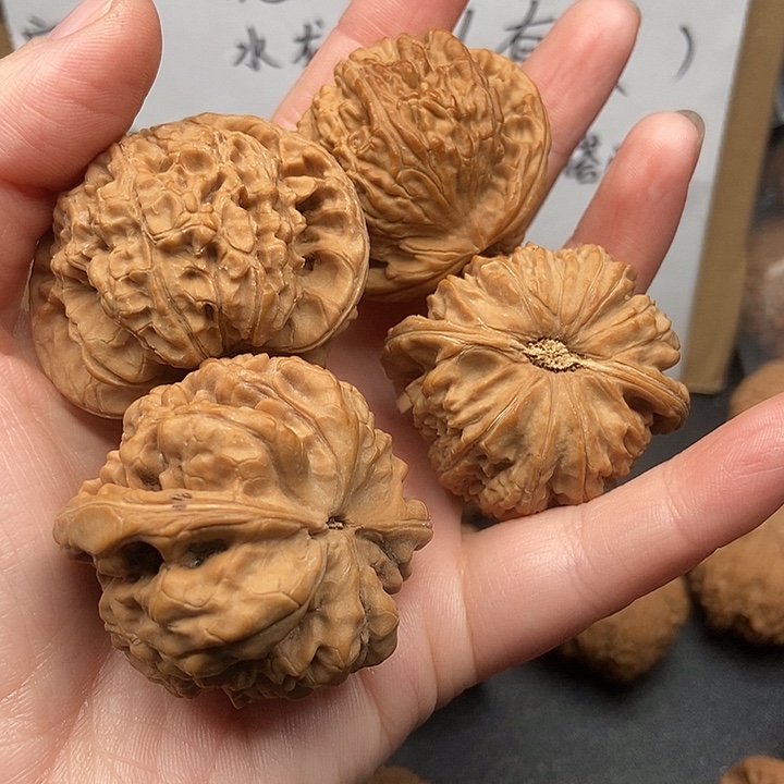 無***浪大大大大大大狮子官帽