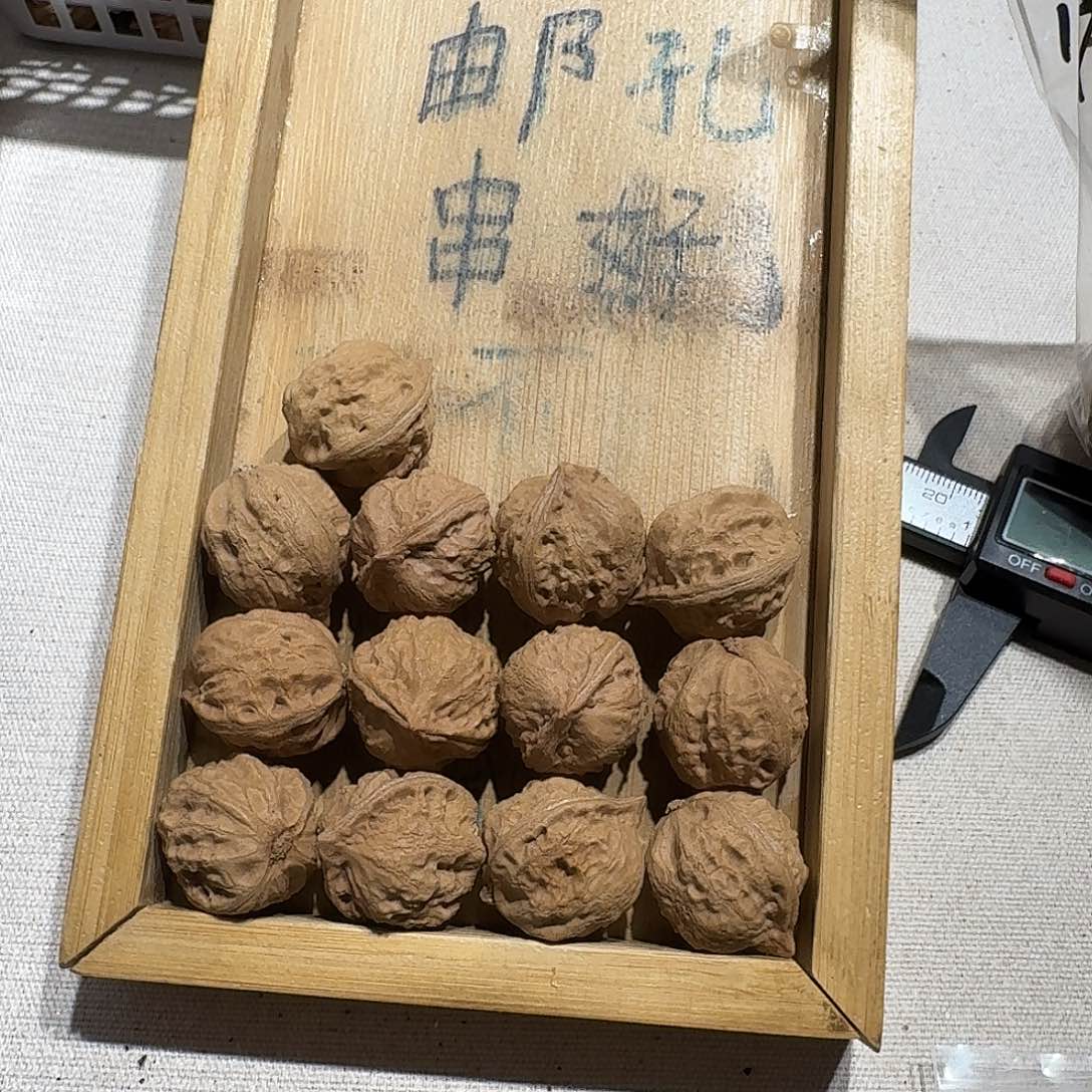 核桃手串/手链21号边23手串