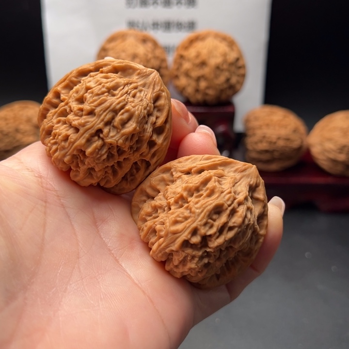 32号正三角精配老树全品