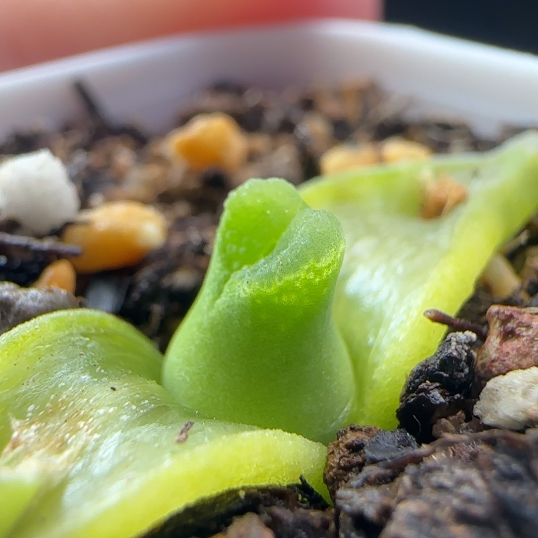 2.9.10/s'b1141超级奶瓶