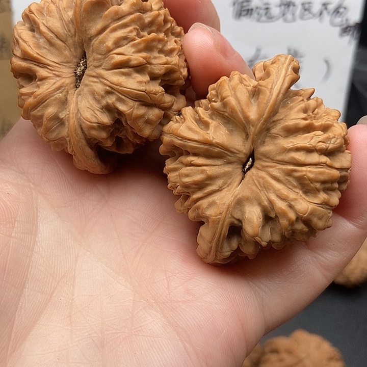 @****大大大大大大官帽磕尖