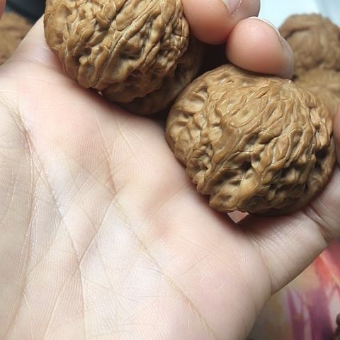 把件文玩核桃磨盘晃仁