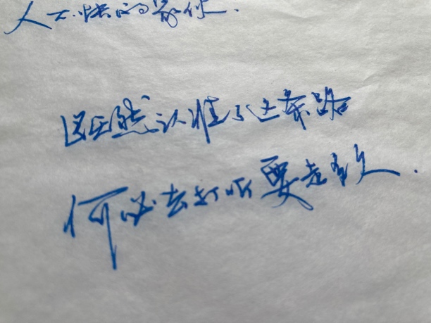 直播手稿 硬笔行书练字帖 文艺句子 内容随机 真迹