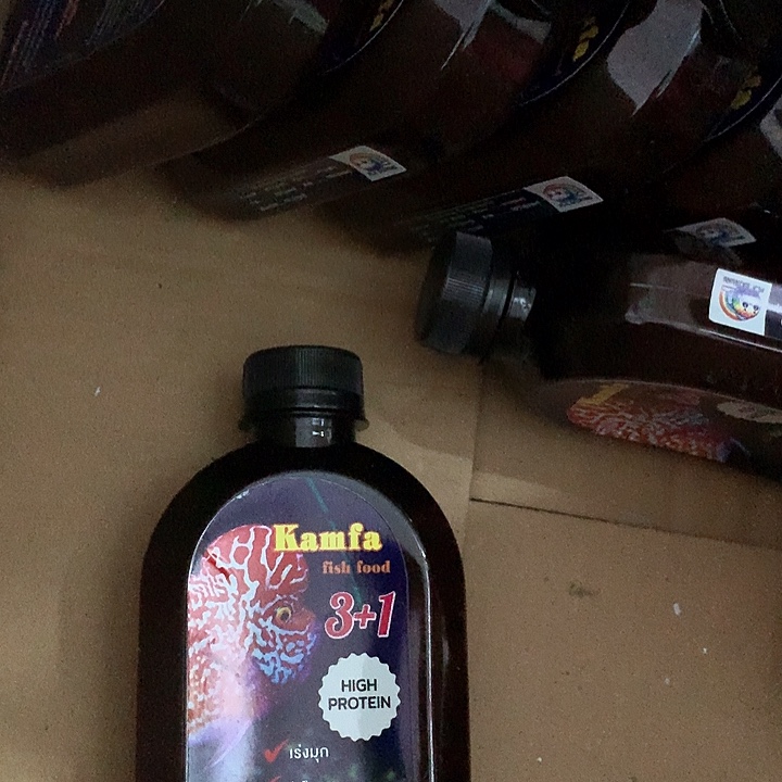 罗汉鱼三加一一瓶