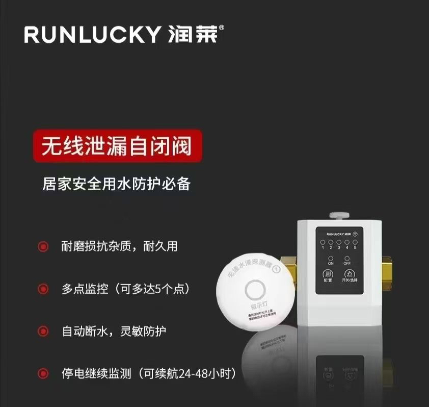 润莱漏水保护器小型家用净水机清洗无线全自动智能