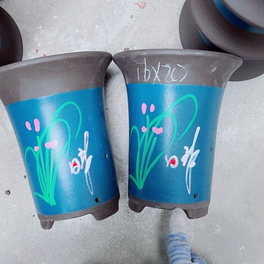 红陶紫砂紫砂紫砂