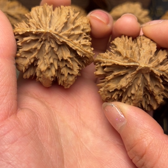 文玩核桃把件秦岭核桃15