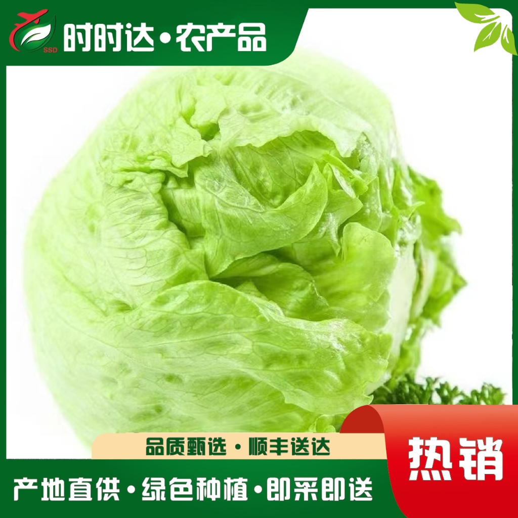 西生菜，产地直发，500g±20g/份