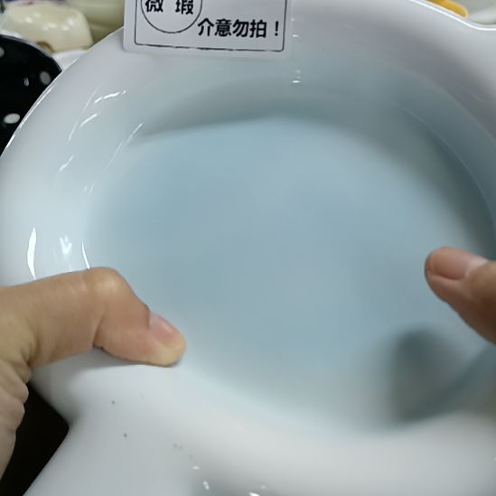 J***_跑单拉黑！No退No换！瑕疵宠物碗-744