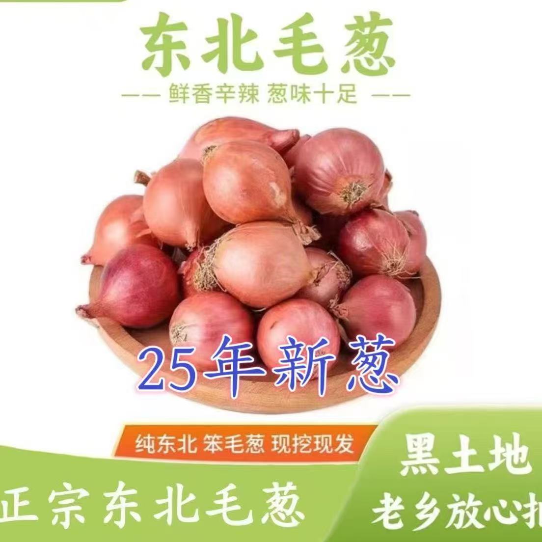东北小毛葱新鲜毛葱本地笨毛葱毛葱头产地直供