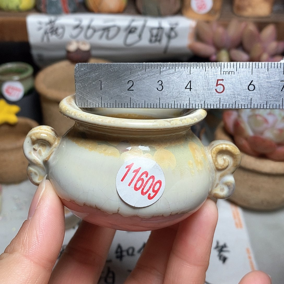 红陶拍5送一个小