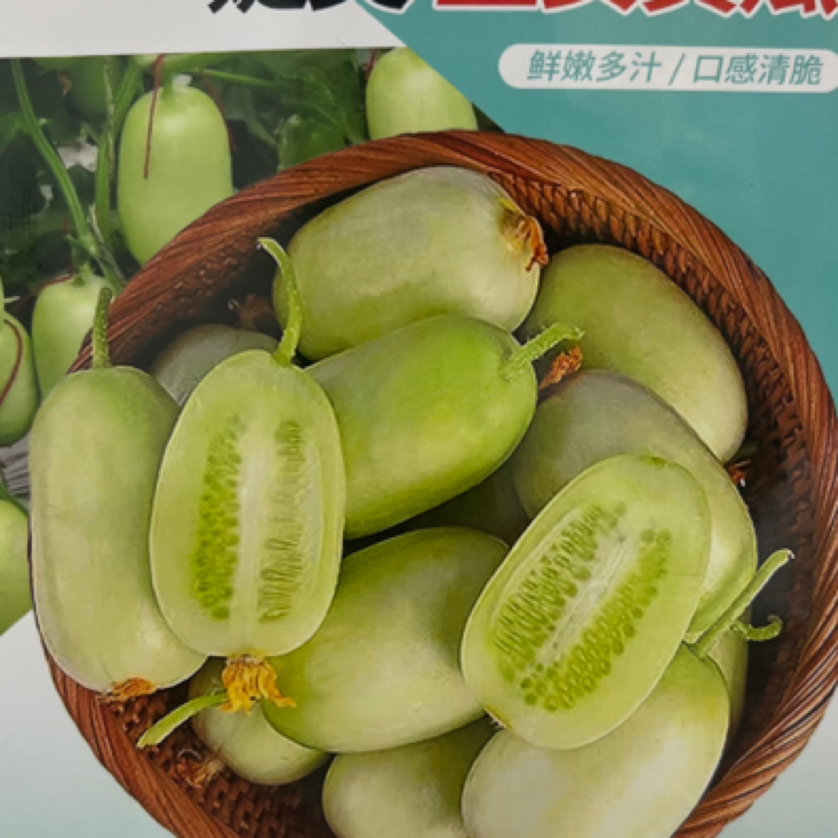 婕美玉女小黄瓜种子