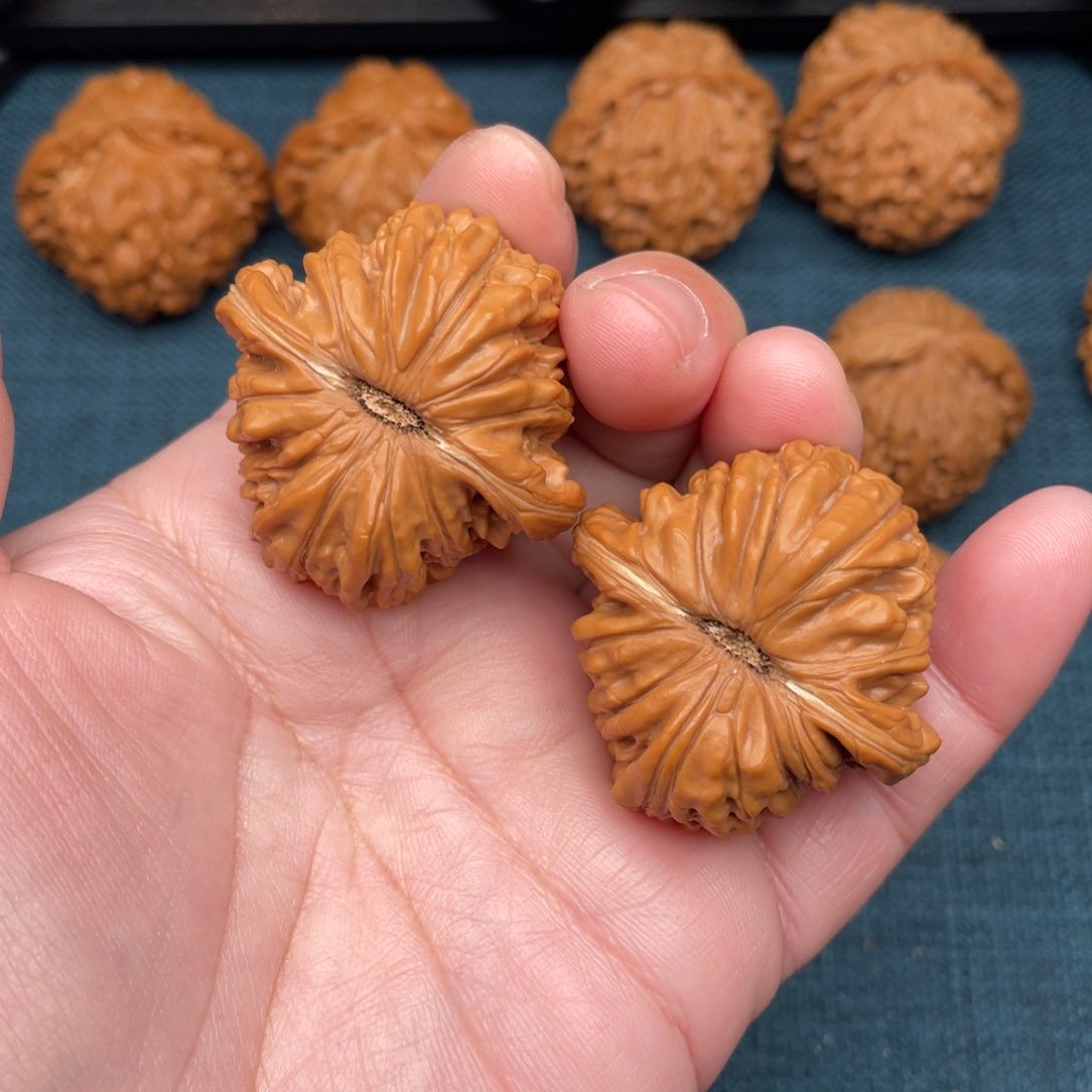 文玩核桃把件全品南瓜楼40.5