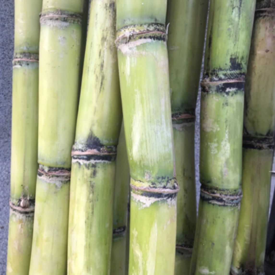 青皮甘蔗切小段去节2斤