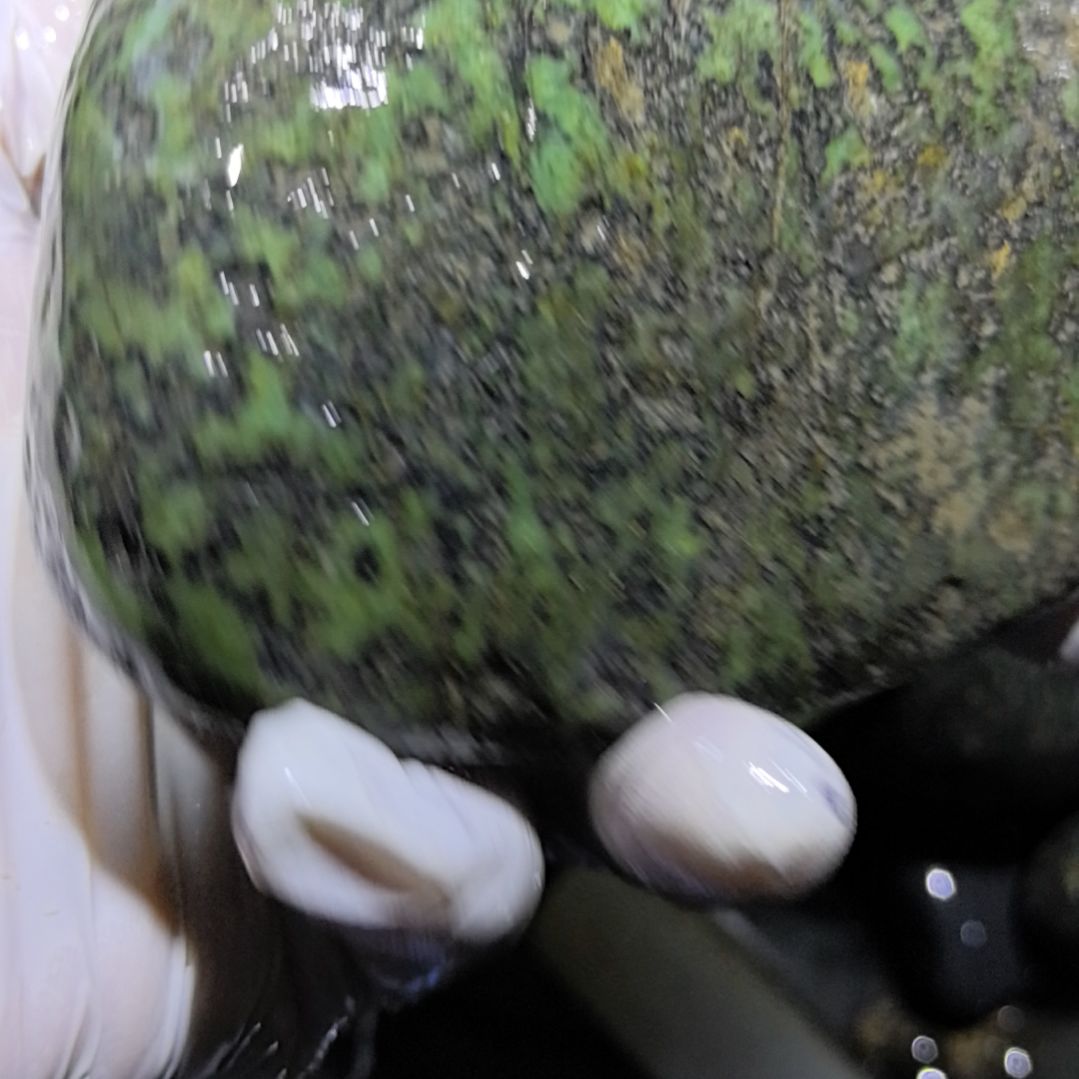 鑫***^藏玉药王石原石一个摆件一个