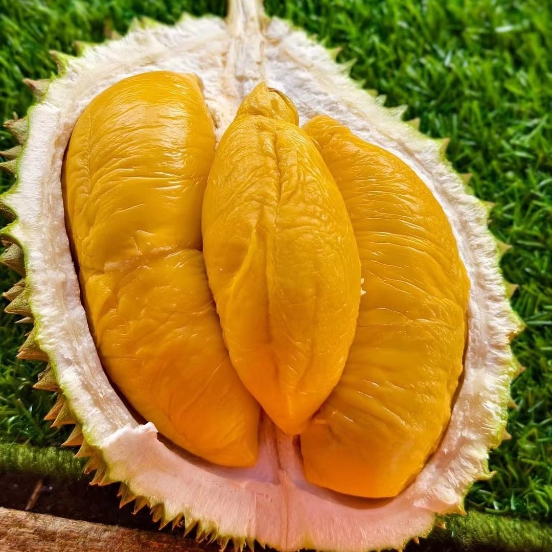 新鲜榴莲树上熟马来西亚黑刺榴莲3-5斤核小黑刺马来西亚