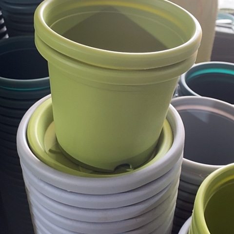 树脂四季1号果绿带托10套