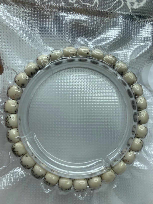 海南星月菩提8/7河豚