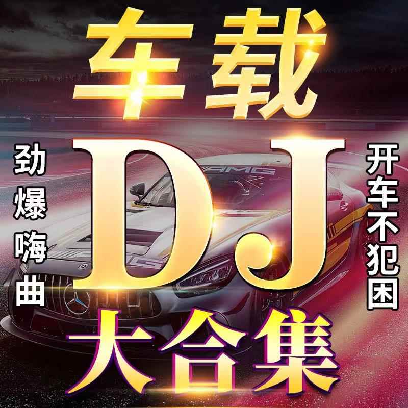 2024抖音全网流行劲爆DJ舞曲嗨歌高品质车载优盘无损音质MP3/MP4