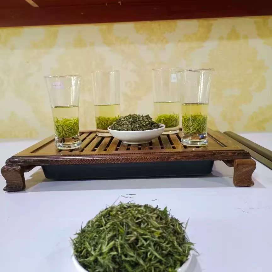 信阳毛尖新茶雨前芽叶核心产区高山茶春茶兰花香