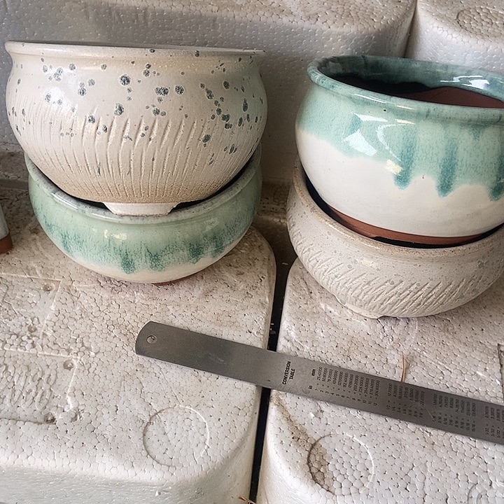 红糖15。。。。10。。。。。。