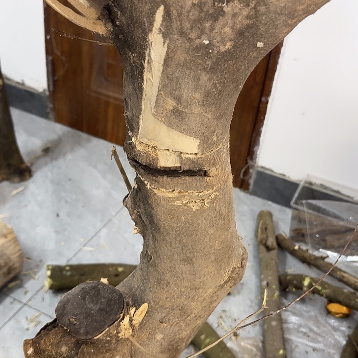 沉香沉香枕沉香料子