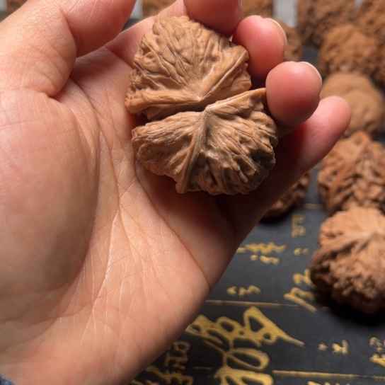 异性小蛇全品无修