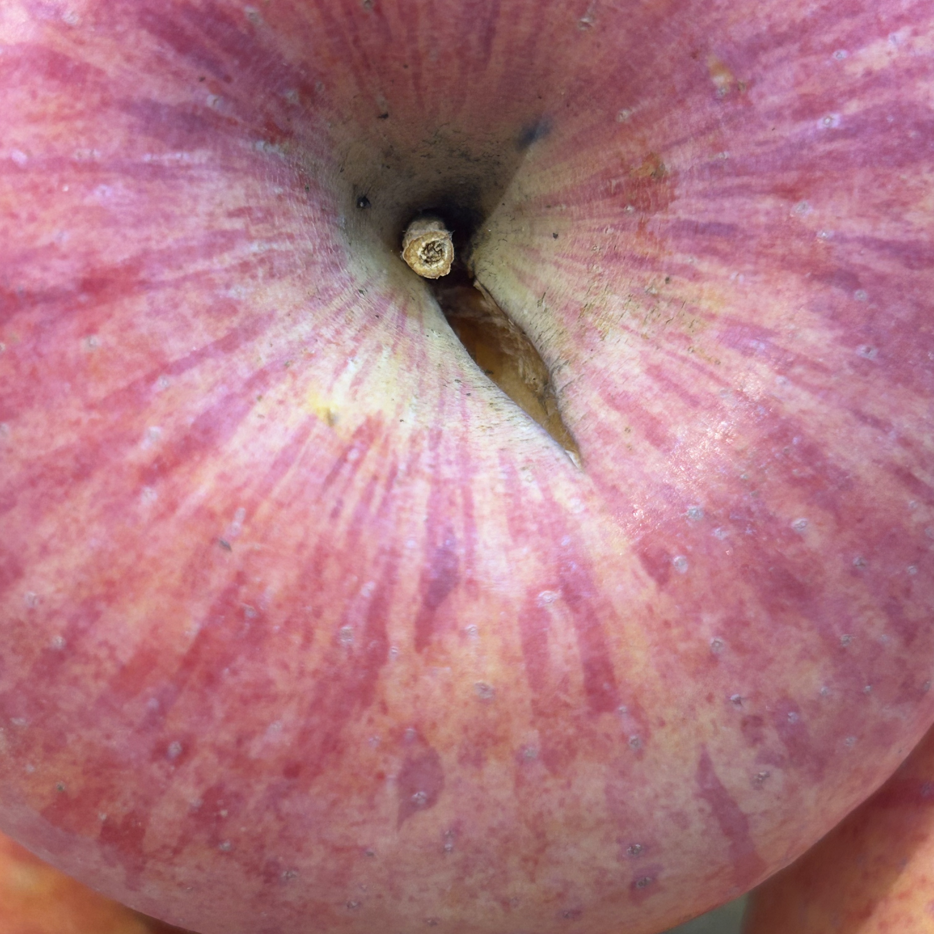 （微瑕）正宗灵宝寺河山红富士苹果产地直发新鲜红富士苹果脆甜多汁