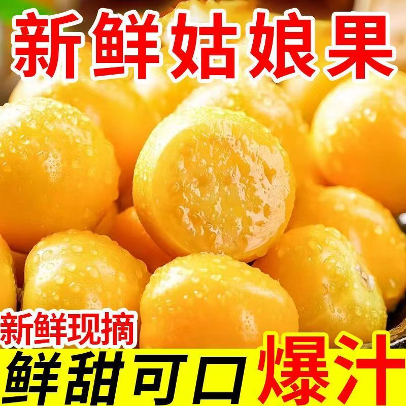 正宗东北姑娘果洋菇娘姑娘果东北特产当季新鲜水果一整箱包邮