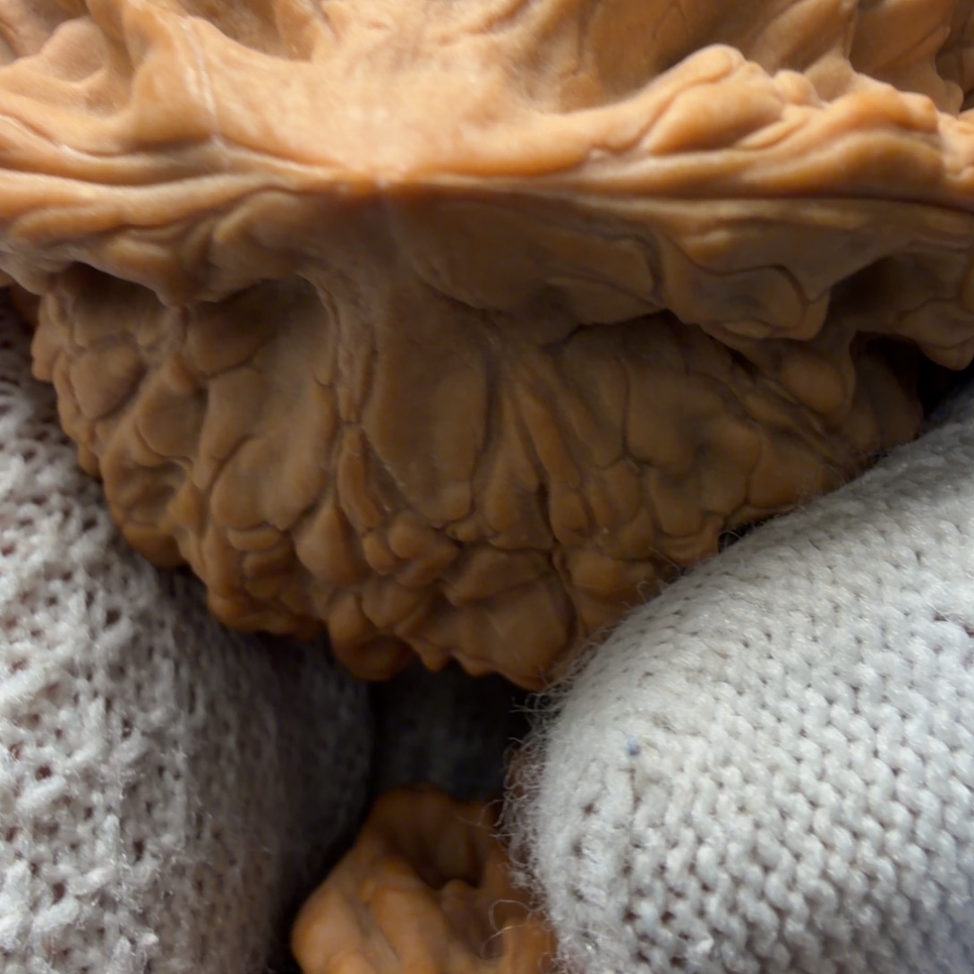 Y***7文玩核桃吊坠关贸