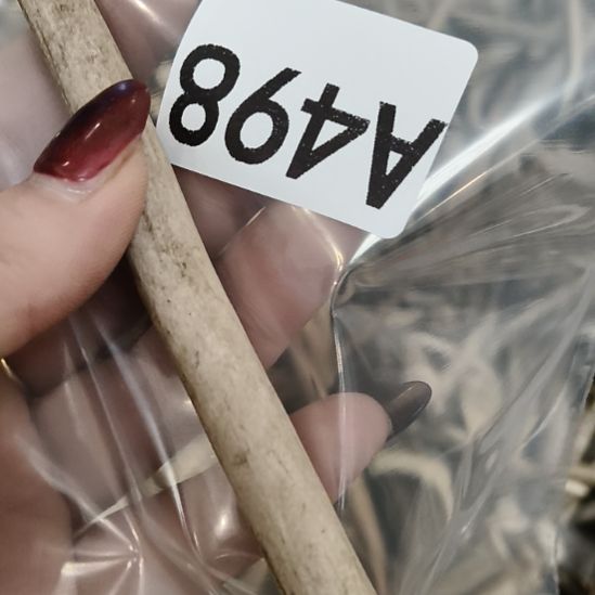 玄***）鹿角鹿角鹿角鹿角鹿角