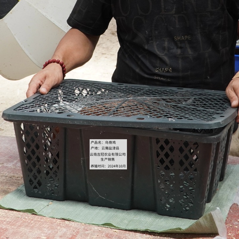 无量山乌鸡 好吃！